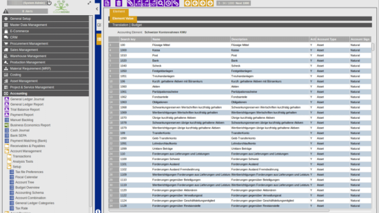 ERP integrated Accounting