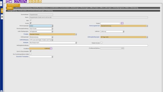 ERP Customer Master Data