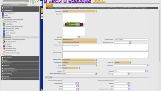 ERP Item Master Data